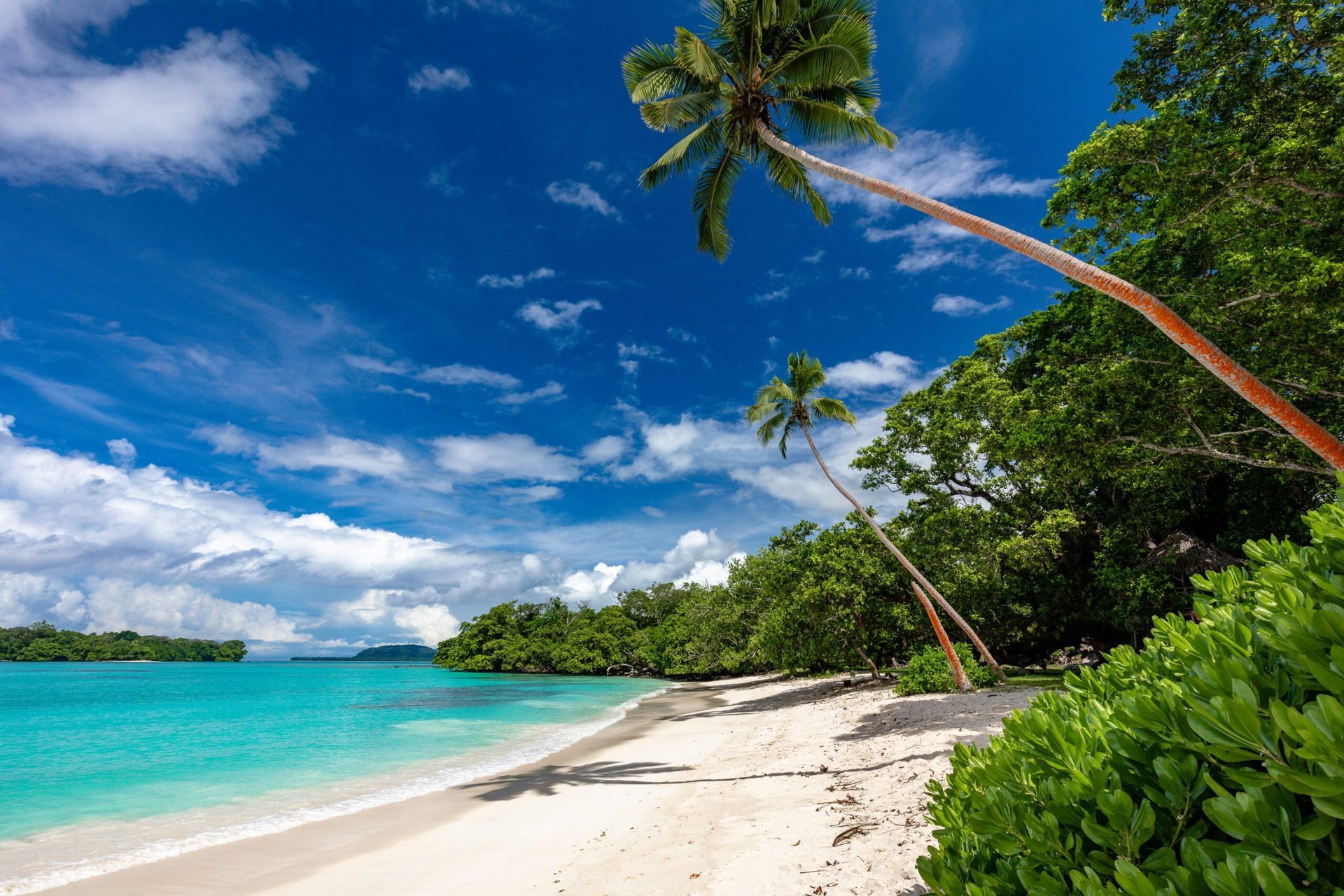 Port Orly sandy beach with palm trees, Espiritu Santo Island, Vanuatu.