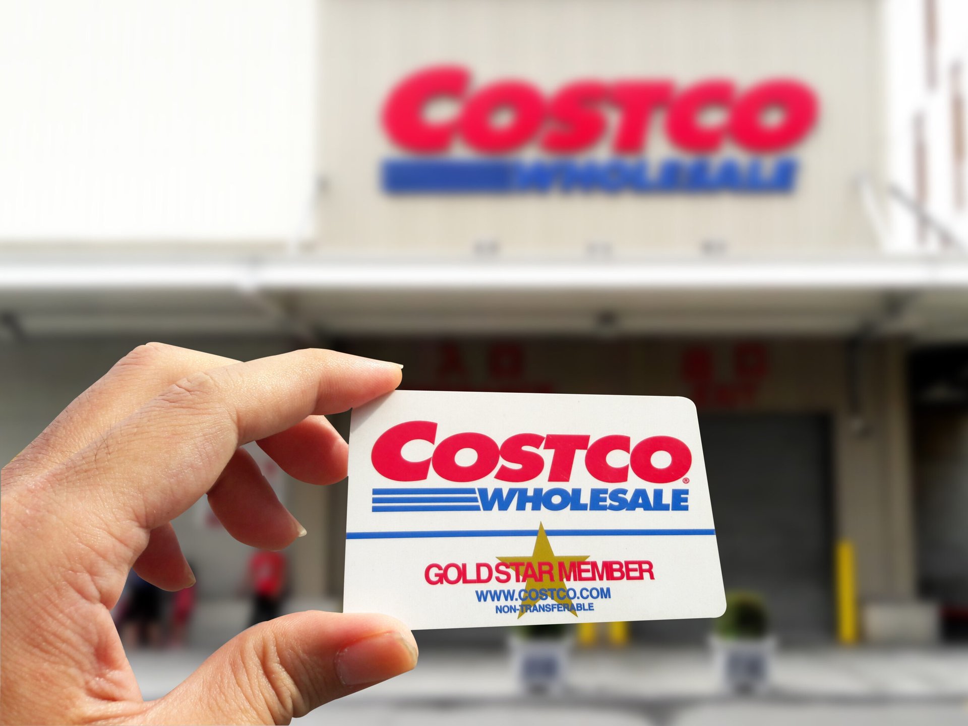 Person holding up Costco membership card.