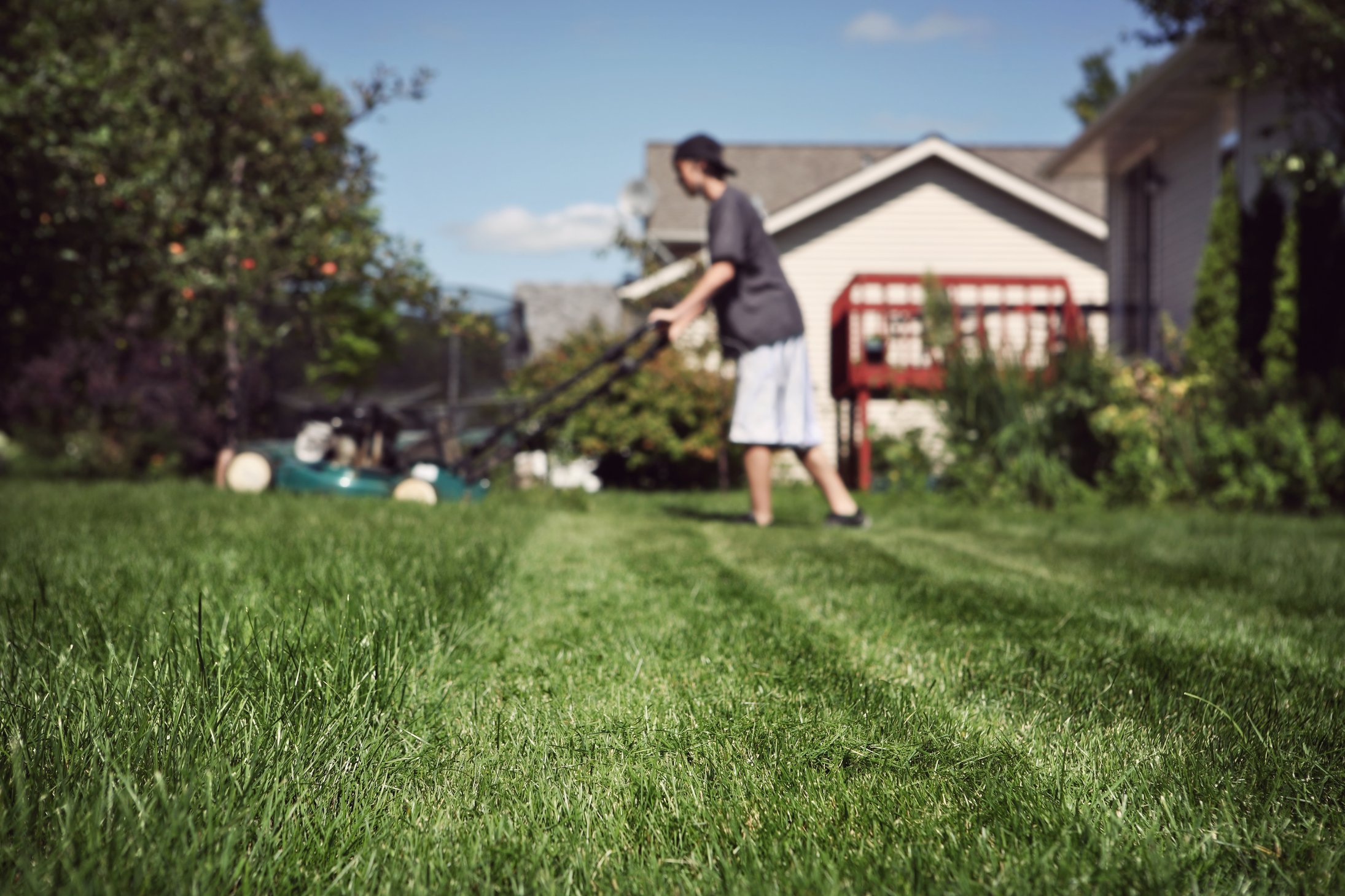 Mow the lawn. Don't walk on Lawns. Help around the House. Cleaning Dry Branches in the Yard of the House.