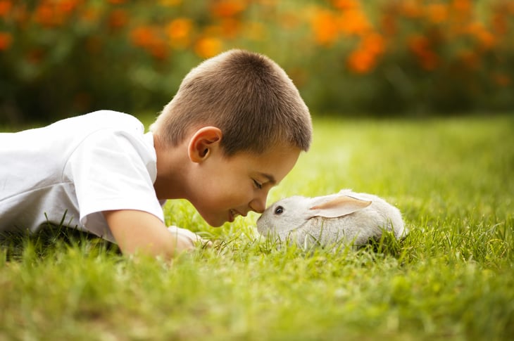 Boy nose-to-nose with a rabbit in the grass.