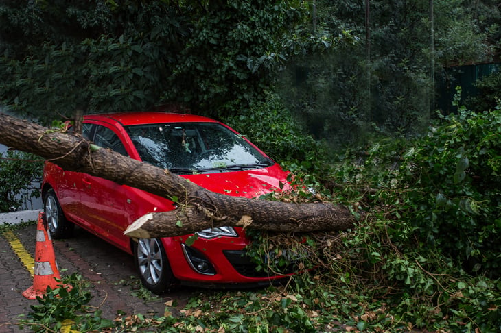 Car crushed under tree, tree branch after a storm.