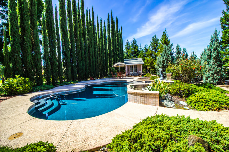 Backyard with pool shaded by cypress trees